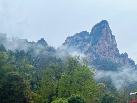 张家界杨家界景区图片图片