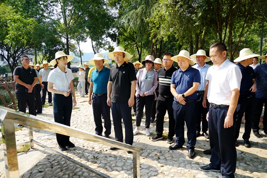 全力冲刺 精彩呈现——武陵源区开展首届张家界旅游发展大会文旅项目观摩第2次演练