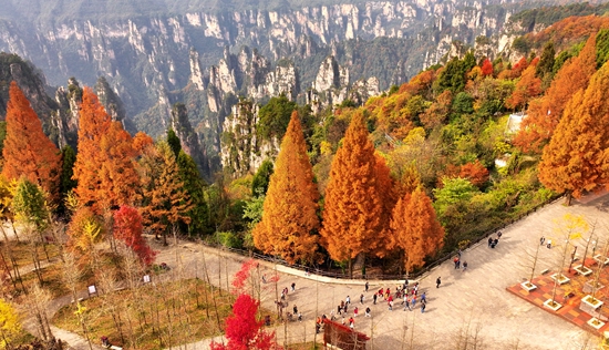 张家界国家森林公园：色彩斑斓染峰林