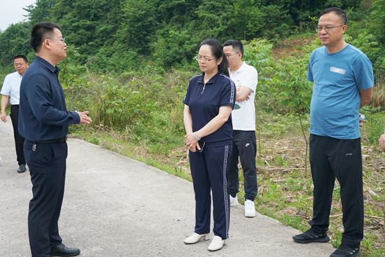吴俞萍调研督导中央生态环境保护督察问题整改工作