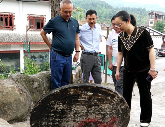 吴俞萍调研中央、省级生态环保督察反馈问题整改工作