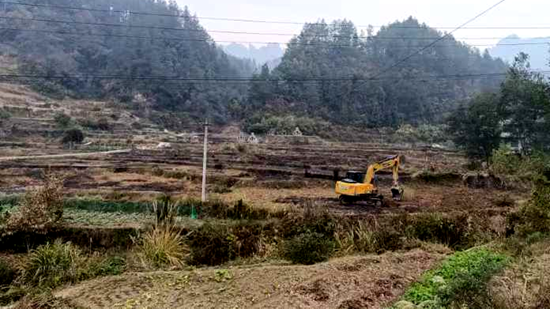 严守耕地保护红线 中湖乡持续开展耕地图斑恢复整治