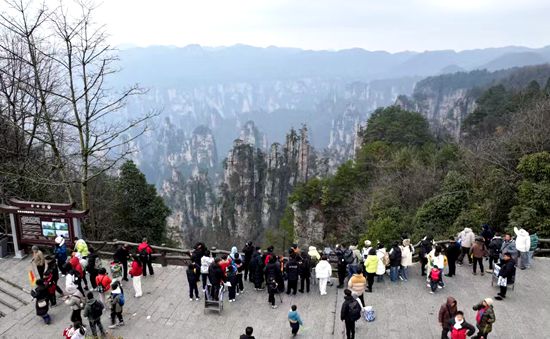 把景区当成自己的家，常回家看看！张家界国家森林公园面向本地市民推出专属旅游惠利