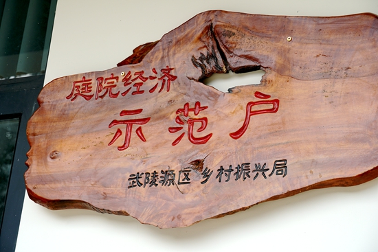 “方寸地”变“致富园”  张家界武陵源激活乡村振兴“微引擎”