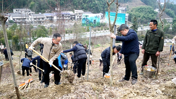 武陵源区开展2025年“3·12”义务植树活动