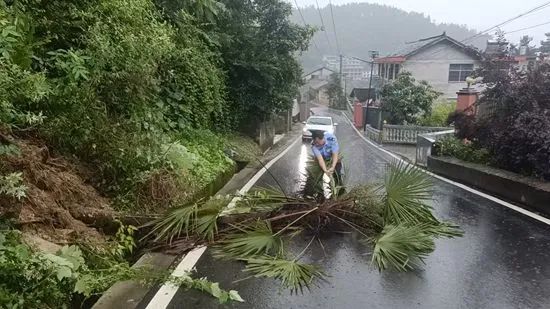 【防汛进行时】金鞭溪景区多举措推进汛后恢复 全力迎接张家界国家森林公园开园