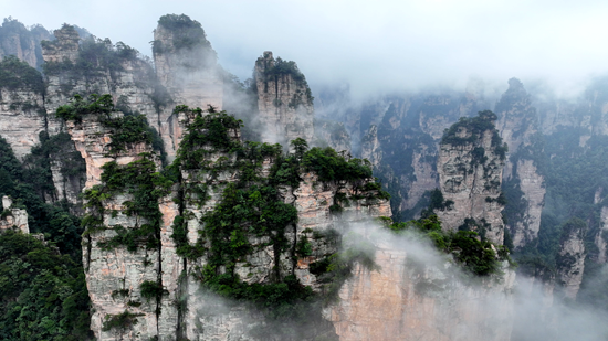 張家界武陵源景區(qū)迎來暑期客流高峰