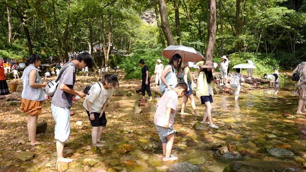 武陵源親子游升溫：山水間解鎖“遛娃”新體驗(yàn)