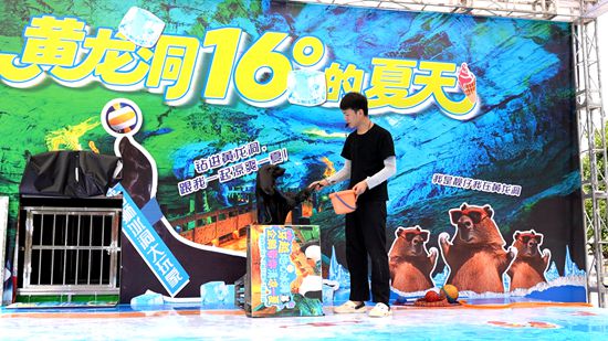 企鹅、海狮、水豚齐相聚，张家界黄龙洞景区“萌宠避暑季”正式开启
