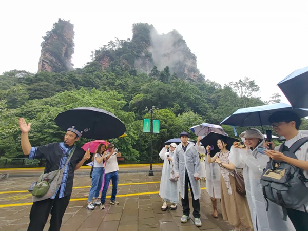 20名重庆网络达人打卡张家界国家森林公园