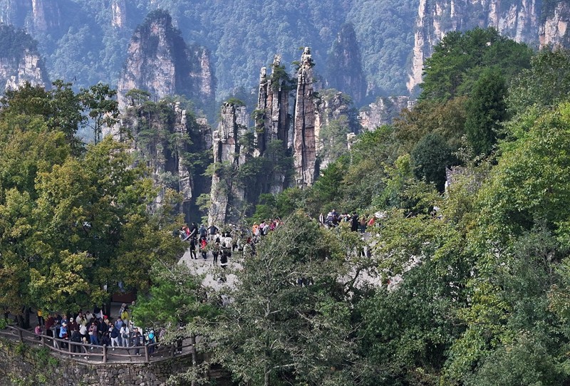 一卡游一年 张家界国家森林公园推出399元“畅游年卡”