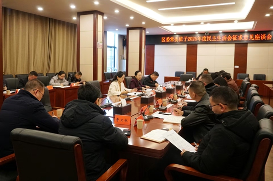 区委常委班子2025年度民主生活会征求意见座谈会召开