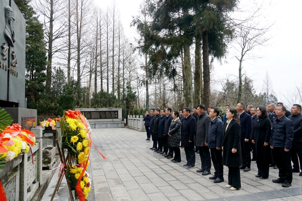 吴俞萍带队到贺龙公园开展春节祭拜活动