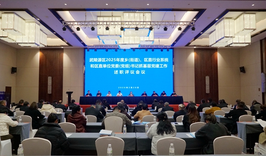 武陵源区召开2025年度乡（街道）、区直行业系统和区直单位党委（党组）书记抓基层党建工作述职评议会议