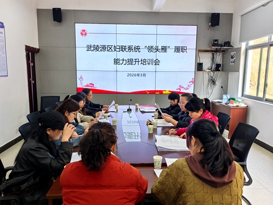 筑牢基层根基 建强“领头雁”队伍——武陵源区开展村（居）妇联主席履职能力“一线培训”