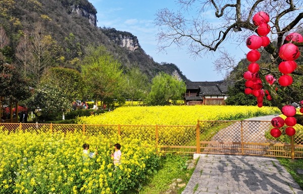 张家界黄龙洞景区：直升机游受青睐 三月春光醉四海