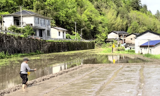 中湖乡鱼泉峪村：抢抓农时播谷种