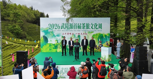 三千奇峰竞秀 一杯红茶飘香——2026武陵源首届茶旅文化周启幕