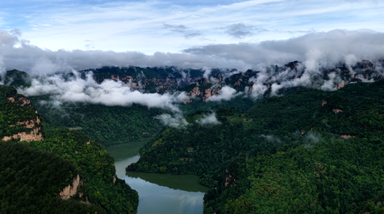 张家界武陵源：雨歇云海漫 美景入画来