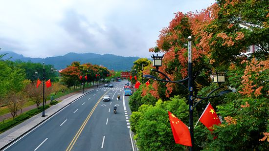 张家界武陵源:满城红旗迎华诞 峰林秋色庆国庆