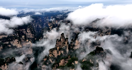 张家界国家森林公园:假期遇云海 峰林入画来