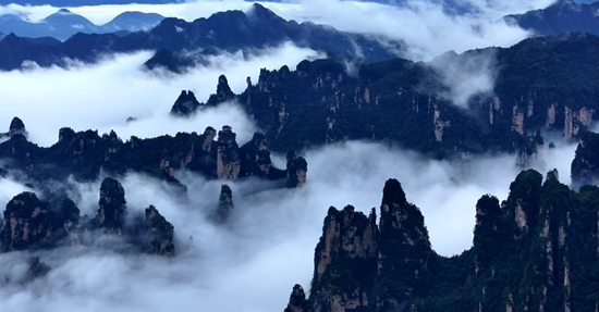 张家界国家森林公园:假期遇云海 峰林入画来