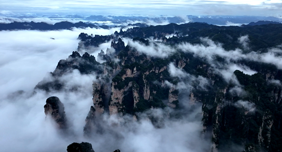 张家界国家森林公园:假期遇云海 峰林入画来