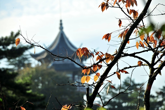 层林焕彩醉游人！张家界国家森林公园迎来斑斓秋景